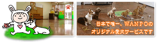 日本で唯一、オリジナル愛犬のしつけサービスです。